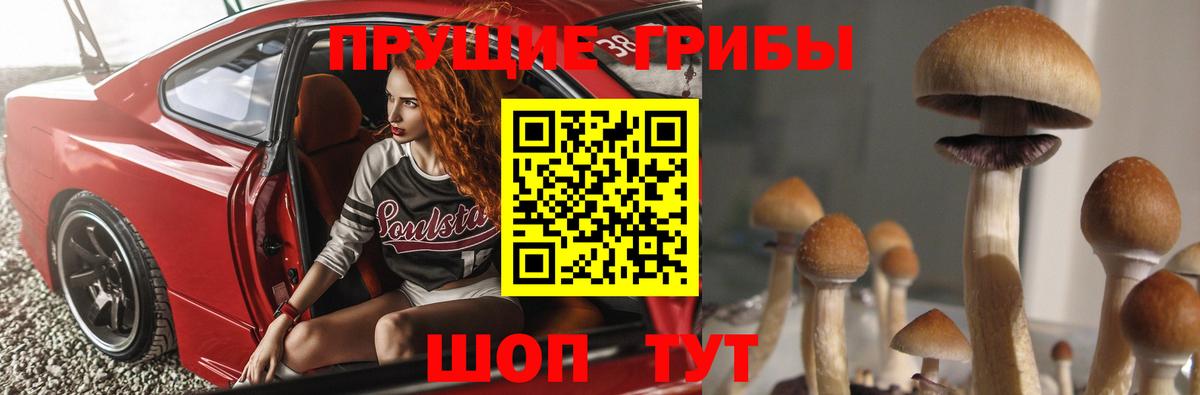 Галлюциногенные грибы Psilocybine cubensis Набережные Челны
